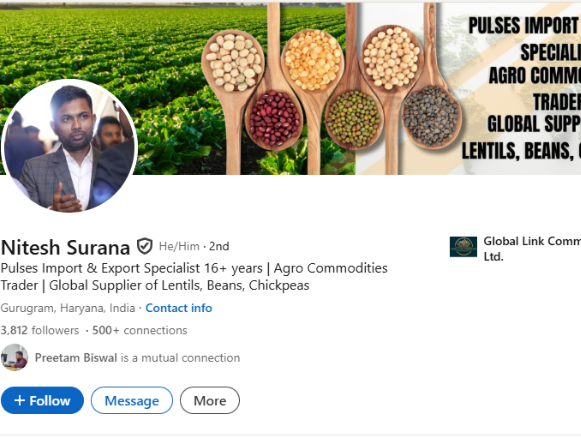 Praise marketing projects